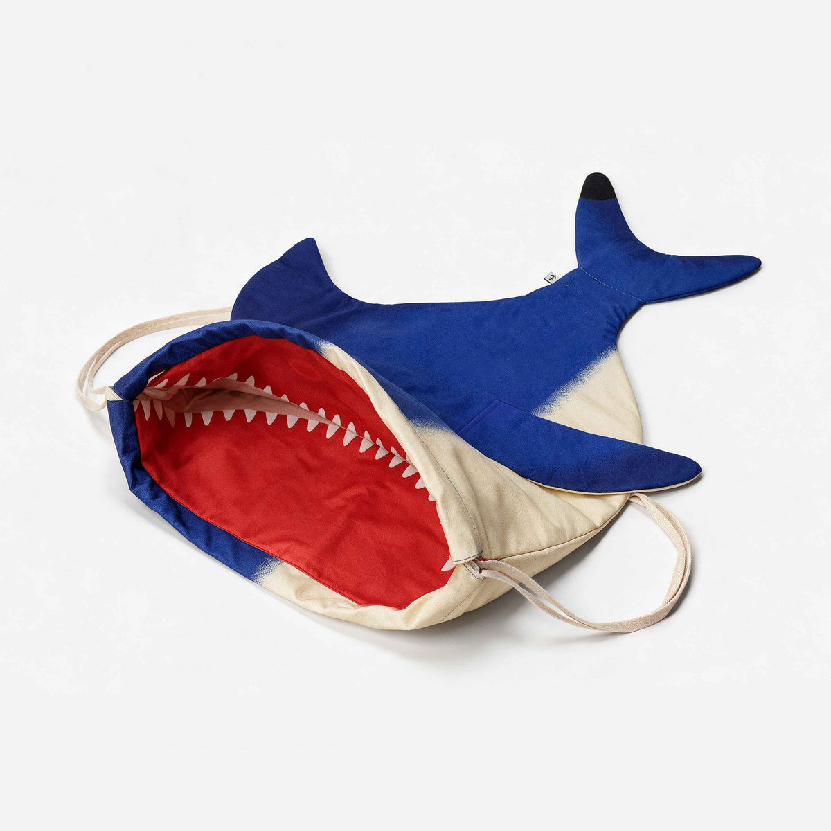Blue Shark (adult)