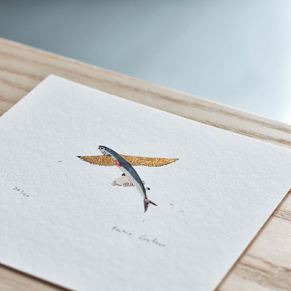 Illustrators I love: Katrin Coetzer