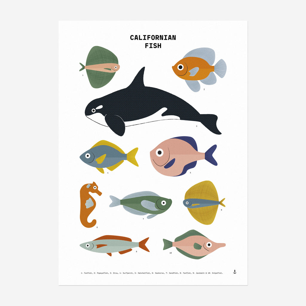 Californian Fish A3 Print 