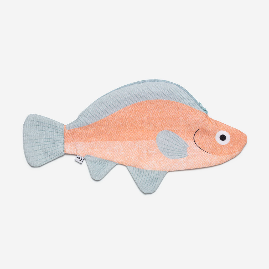 Carp Koi
