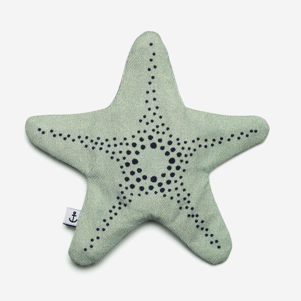 Starfish - Aqua
